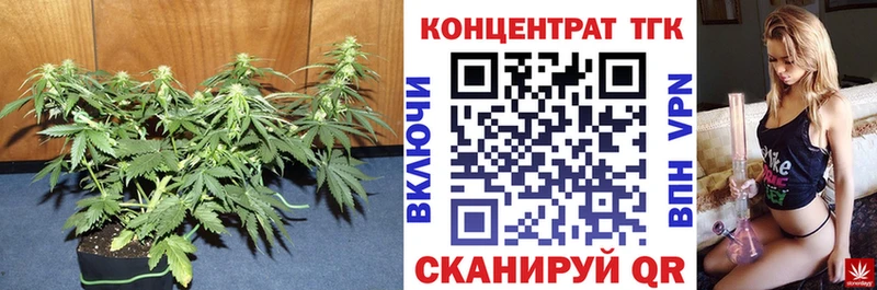 ТГК THC oil  Суздаль 