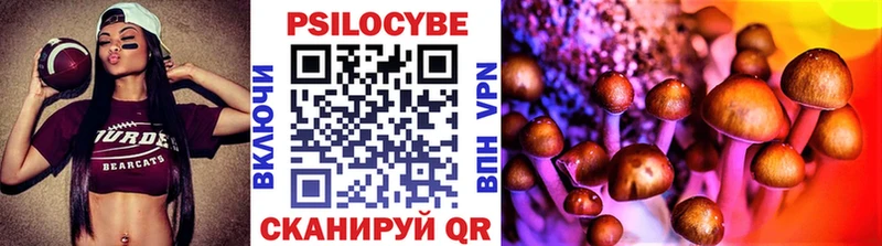 Псилоцибиновые грибы мицелий  Суздаль 